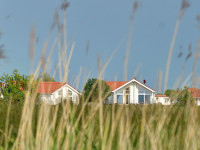 ar_0925.jpg